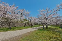 Hotel Sharoum Inn Hakodate