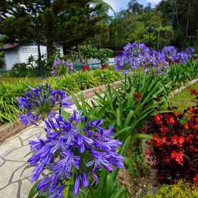 柏齡快捷酒店 Hotel Exterior