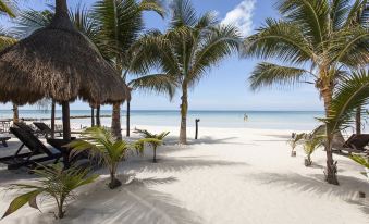 Holbox Dream Beachfront Hotel