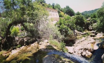 Le Moulin Camoula