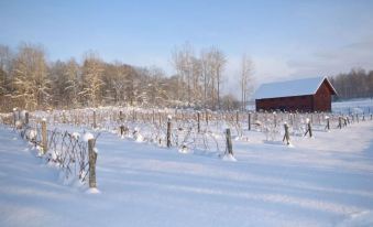 Blaxsta Vingård