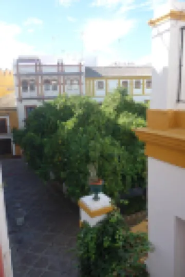 Hotel Doña Lina Hotels near Real Alcázar de Sevilla