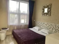 Constanta Hotel Hotels in New Athos