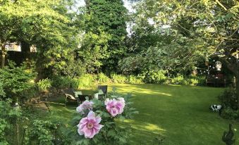 Willow Cottage - Housity
