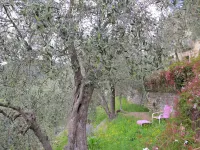 Miche - Farmhouses