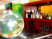 Poonam Village Resort - Quầy Bar
