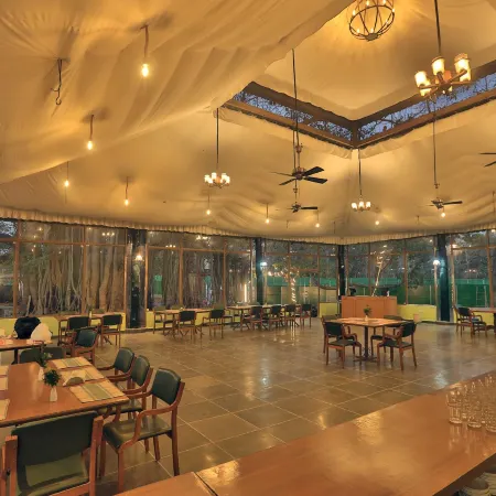 Bison Retreat - Pench