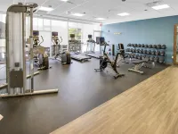 薩拉索塔布雷登頓機場歡朋套房酒店 薩拉索塔酒店