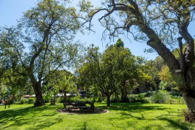 7th Street Guesthouse Hotels near University of the Witwatersrand, Johannesburg