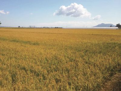 ホテル周辺 ホテル・ラ・ジェント・プラザ函館北斗の写真