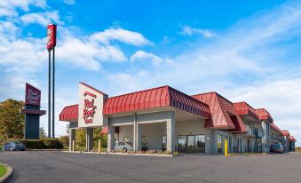 Red Roof Inn Winchester, VA