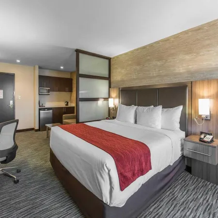 Comfort Inn & Suites Airport North