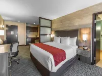 Comfort Inn & Suites Airport North - 2-Star