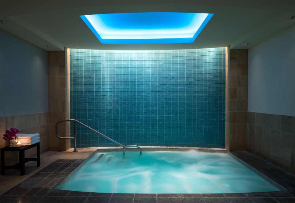 더 리츠칼튼 댈러스 스파 시설