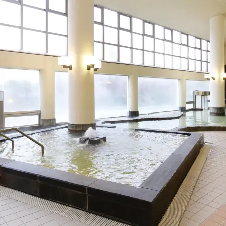 Spa Resort Hawaiians
