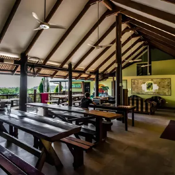 Jackaroo Treehouse Rainforest Retreat