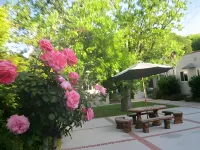 Rest Haven Motel