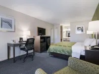 Quality Inn Little Creek Hotels near Chicks Beach