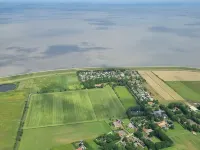 Wiringherlant