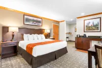 Best Western Rocky Mountain Lodge - Balkon