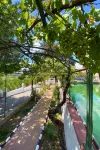 Disconnection and Comfort in Nature – Your Stay in the Lemon Room