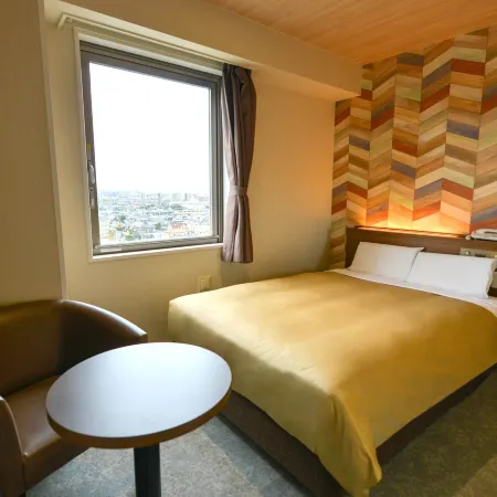 Hotel New Gaea Nishi Kumamoto Ekimae