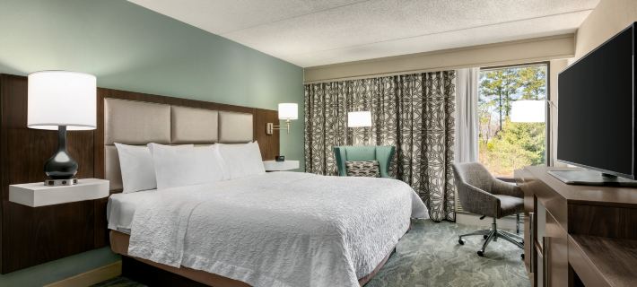 Hampton Inn Richmond-North/Ashland Hotels in Hanover County