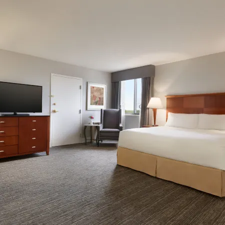 DoubleTree by Hilton Minneapolis-Park Place