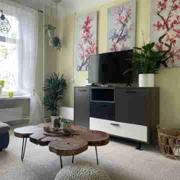 Sunny 1 Br Apt in Center Next to Park Rooms