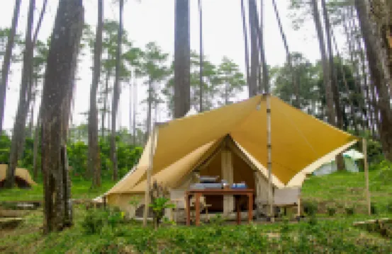 Lembah Pinus