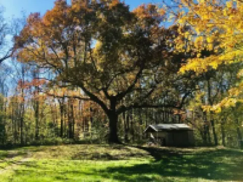 Wooded cabin in the Laurel Highlands with beautiful yard and native trout stream Hotels in Donegal Township