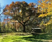 Wooded cabin in the Laurel Highlands with beautiful yard and native trout stream