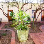 Rustic Modern Adobe in Downtown Barrio - King Bed