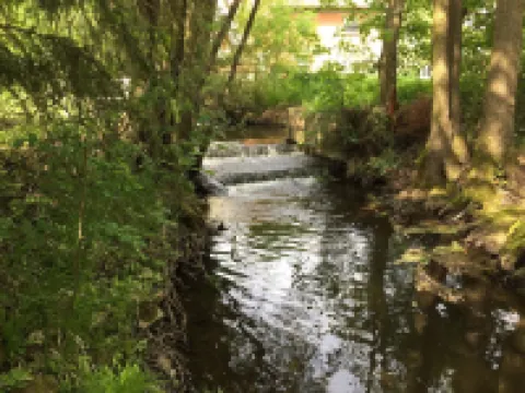 Apartment directly on Elsbach