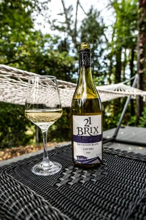 The Fisherman's Cottage - a Lakeside Loft in the Heart of Wine Country