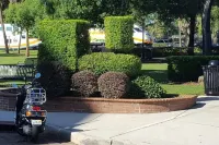 Light, Bright and Full of Delight! 2 Blocks to Park Ave