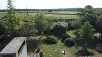 Old, Traditional, Charentaise House, Peaceful Vineyard Location