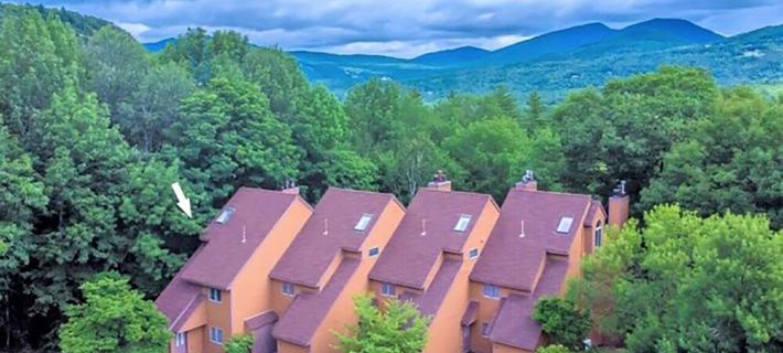 An Amazing Mountain Getaway! バートレットのホテル