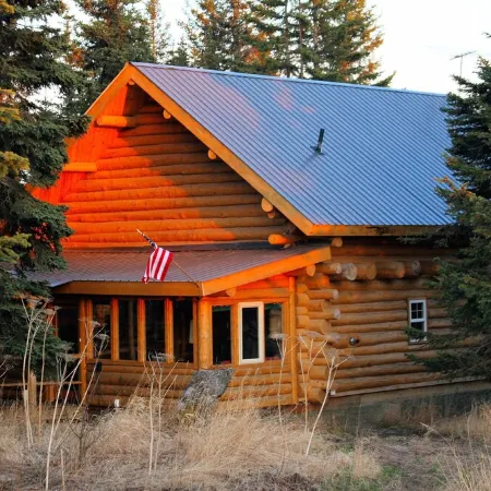 Unique Alaskan Log Home in Trees & Wild Flowers on 14-Acre Private Homestead.