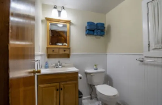 ❤️New! 2.5 mi to Whiteface, ADK Cabin w/ Fire pit