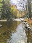 Creekside cabin home ENJOY PEACE/BEAUTY in LUXURY with quality bedding&MUCH MORE