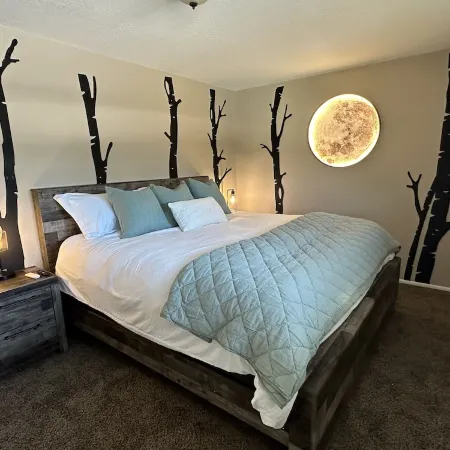 Newly Renovated ski themed home with brand new  furniture