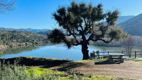 Cottage in the village, close to the Medulas Natural Park (pet friendly) Hotels in Valdeorras