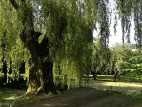 Cosy wooden house in the English style Hotels in Uslar