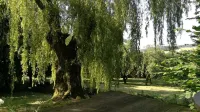 Cosy wooden house in the English style
