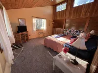 Alpaca Farm Retreat