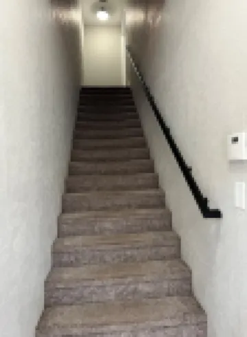 Experience the Best of Downtown St. Pete!