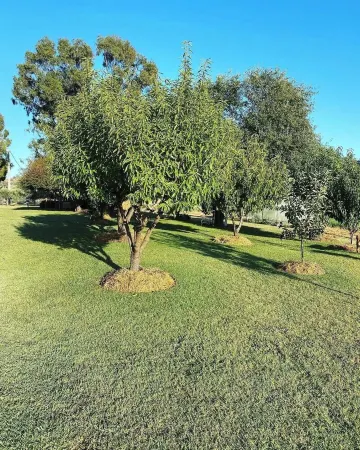 A unique sleeper train carriage near Bathurst that's off the rails!
