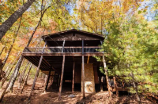 Olaf's Gone Hiking - Pet friendly