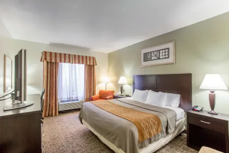 Comfort Inn Franklin Highway 96 Отели рядом с достопримечательностью «Franklin on Foot»